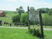 040-Boss Bison Ranch near Cadiz